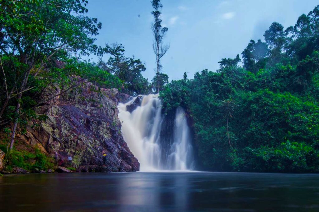 1 Day Source of the Nile