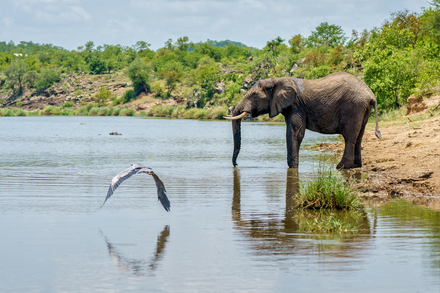 Lake Manyara National Park