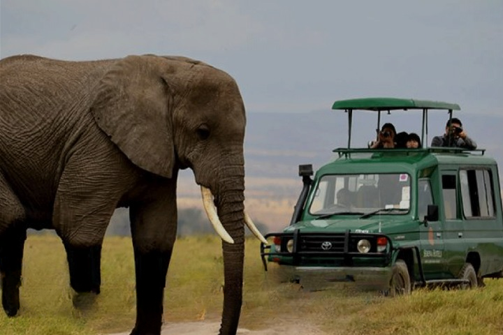 Rwanda Wildlife Safaris