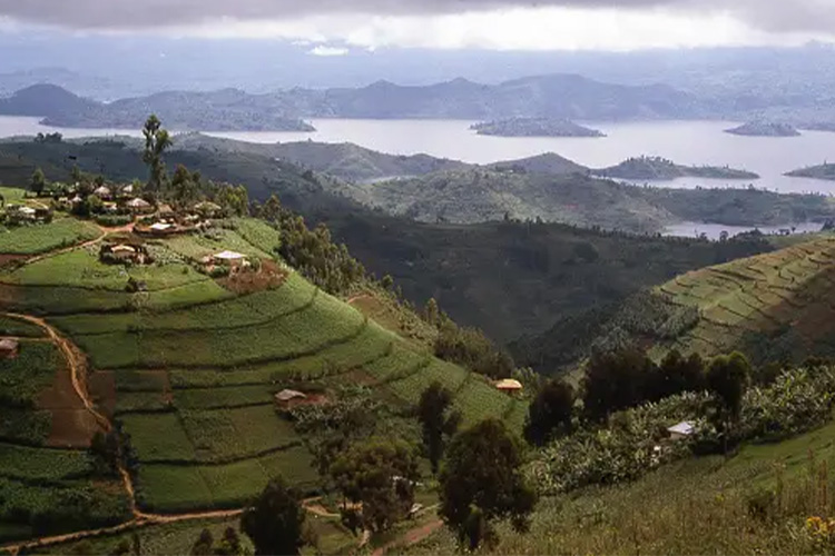 Rwanda Wildlife Safaris