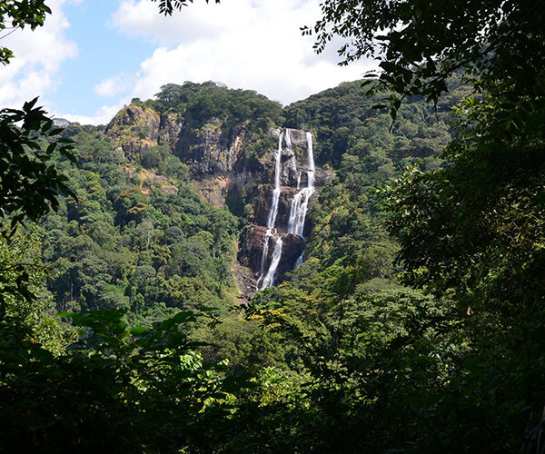 4 Days Mikumi and Udzugwa mountain